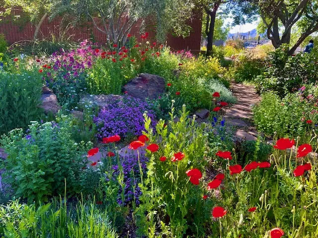 Colorful gardens at the Albuquerque Garden Center