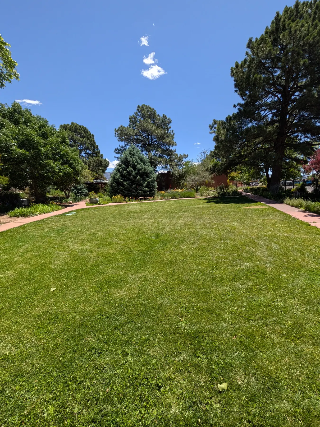 garden