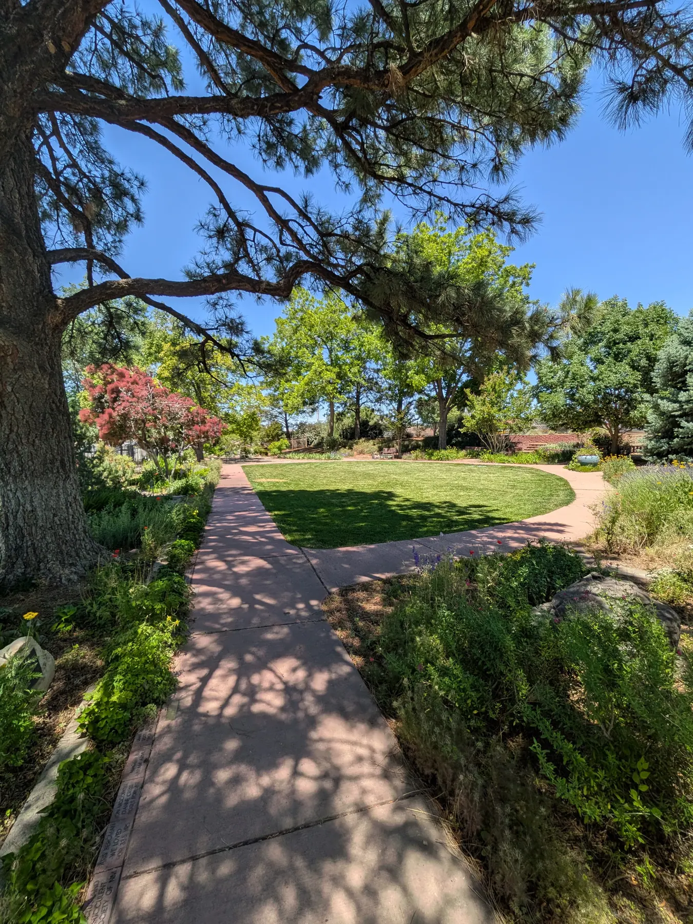 garden